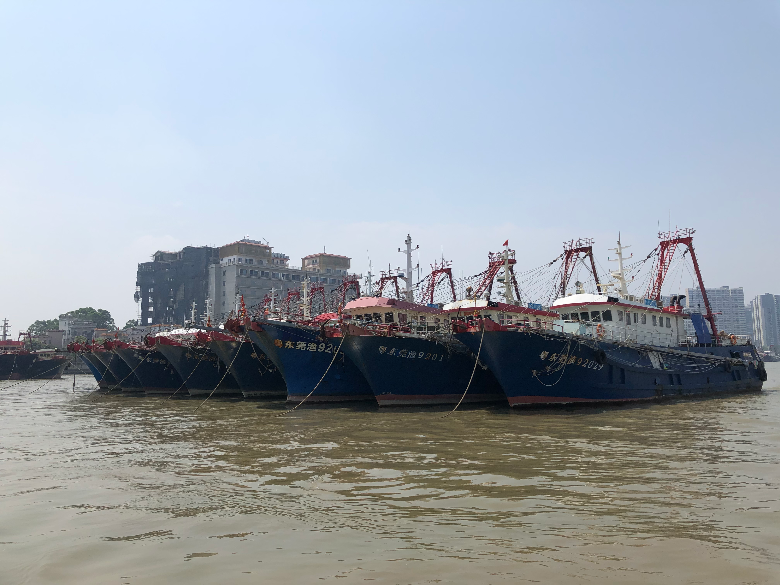 我市应休的194艘海洋渔船已全部停泊就位.jpg