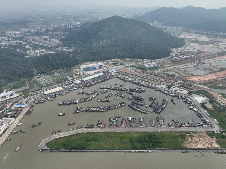 珠海洪湾中心渔港在港避风渔船.png