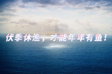 伏季休渔，才能年年有鱼！