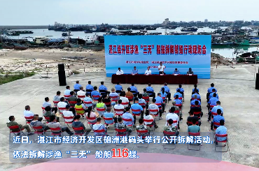 深化合力攻坚  整治“三无”船舶 <br/>湛江市集中拆解涉渔“三无”船舶116艘