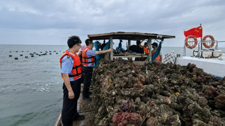 省市县三级海洋综合执法队伍联动 打击江门台山海域违法偷捕行为