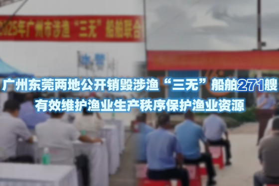 广州东莞两地公开销毁涉渔“三无”船舶271艘 有效维护渔业生产秩序保护渔业资源