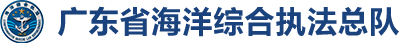 广东省海洋综合执法总队