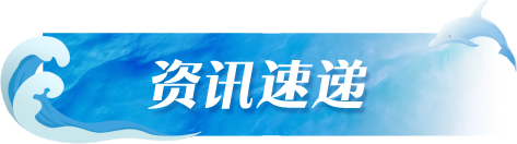资讯速递
